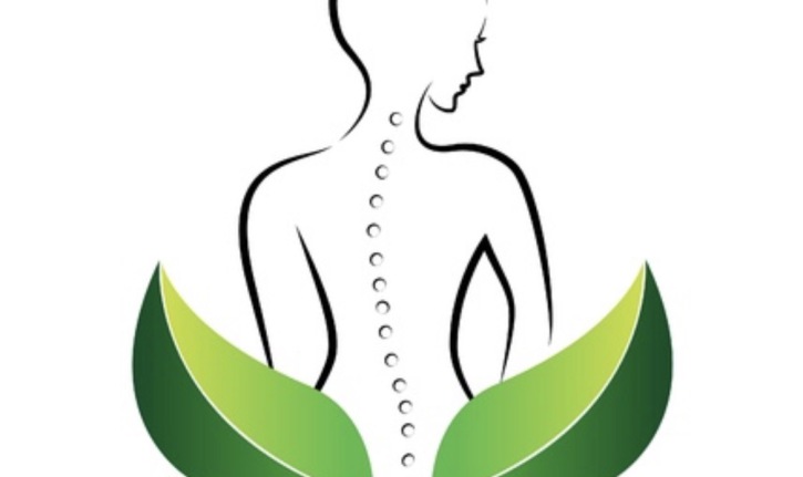 <link rel="icon" href="/favicon.ico" type="image/vnd.microsoft.icon">.